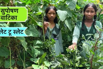 सुपोषण वाटिका