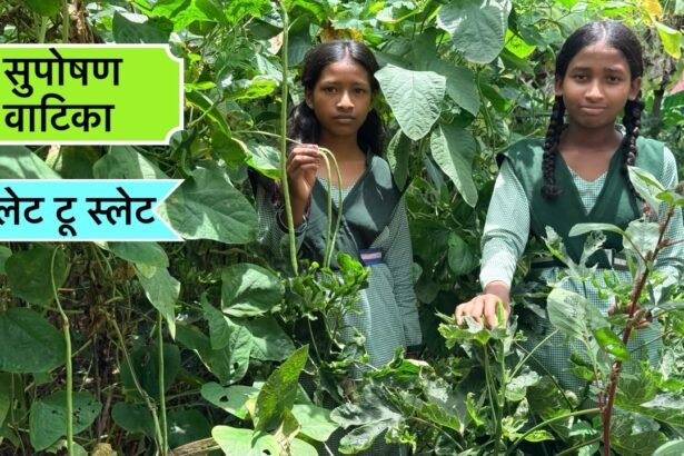 सुपोषण वाटिका