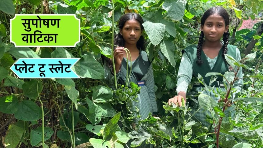 सुपोषण वाटिका